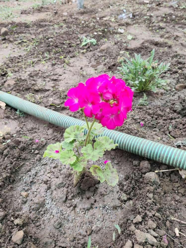 Вілла Anjani Farms Наґпур Екстер'єр фото